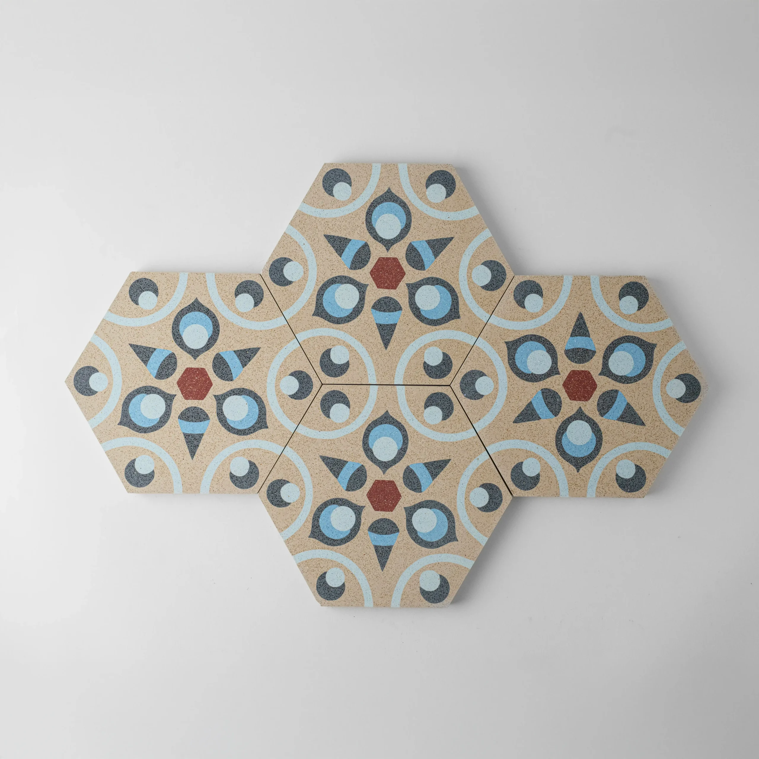 ALTIGEN-24 20x23 cm - Görsel 2